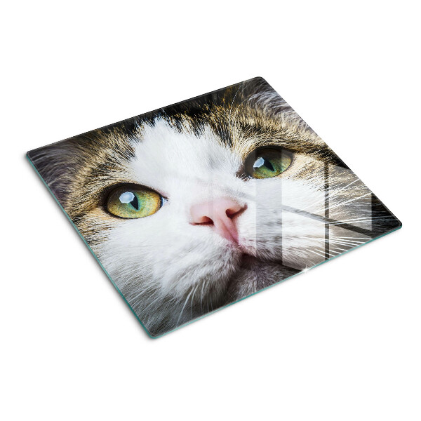 Tábua para cozinha Um gato com olhos verdes