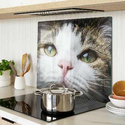 Tábua para cozinha Um gato com olhos verdes
