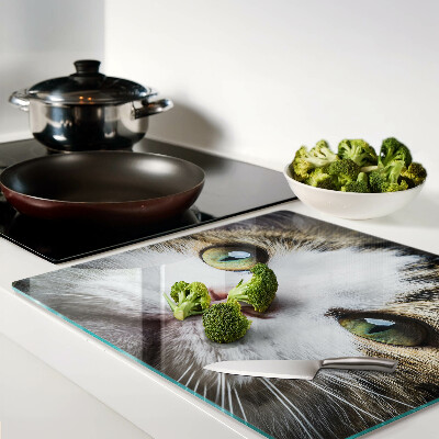 Tábua para cozinha Um gato com olhos verdes