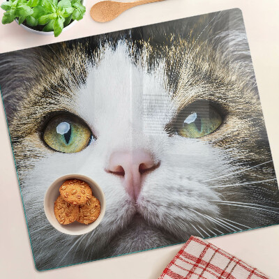 Tábua para cozinha Um gato com olhos verdes