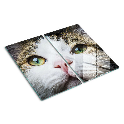 Tábua para cozinha Um gato com olhos verdes