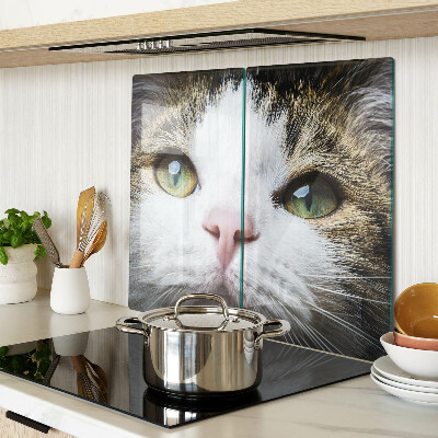Tábua para cozinha Um gato com olhos verdes