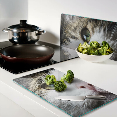 Tábua para cozinha Um gato com olhos verdes