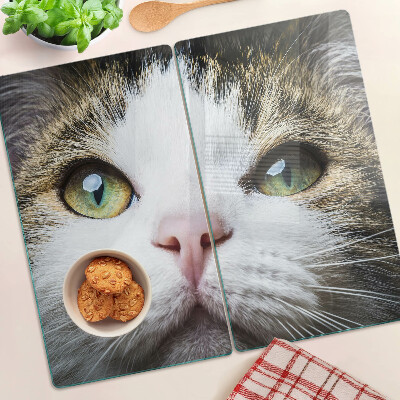 Tábua para cozinha Um gato com olhos verdes