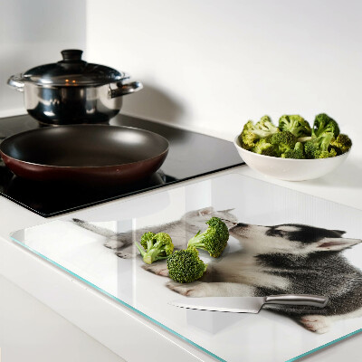 Tábua para corte Gatinho e cachorrinho em amizade