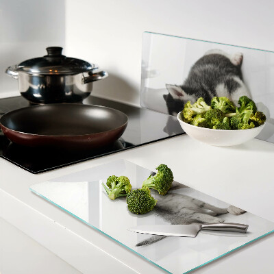 Tábua para corte Gatinho e cachorrinho em amizade