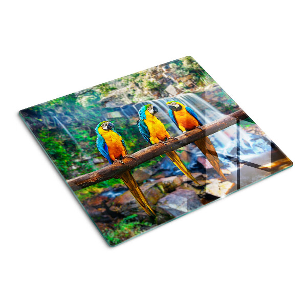 Tábua para cozinha Papagaios em um galho em uma floresta tropical