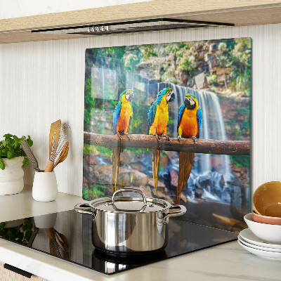 Tábua para cozinha Papagaios em um galho em uma floresta tropical