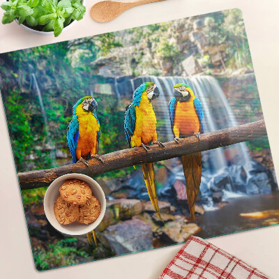 Tábua para cozinha Papagaios em um galho em uma floresta tropical