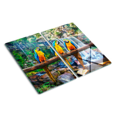 Tábua para cozinha Papagaios em um galho em uma floresta tropical