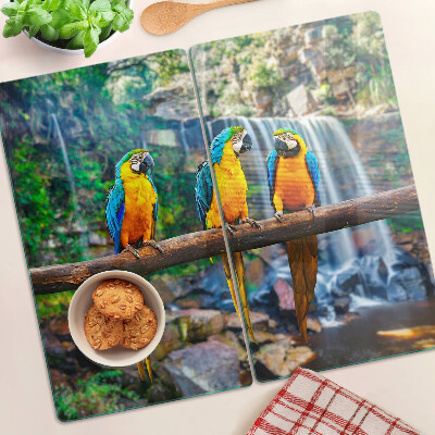 Tábua para cozinha Papagaios em um galho em uma floresta tropical