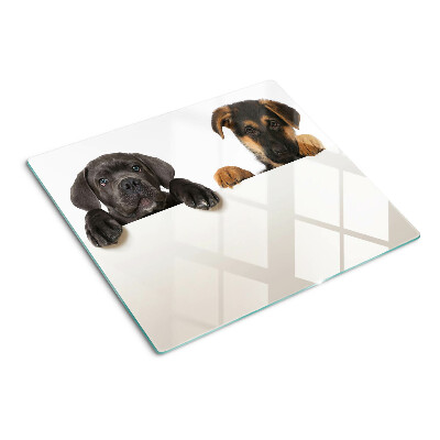 Tábua para cozinha Dois cães olhando ao redor