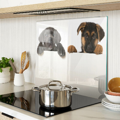 Tábua para cozinha Dois cães olhando ao redor