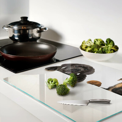 Tábua para cozinha Dois cães olhando ao redor