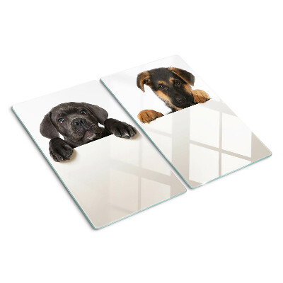 Tábua para cozinha Dois cães olhando ao redor