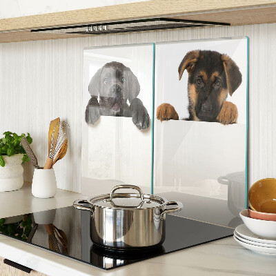 Tábua para cozinha Dois cães olhando ao redor