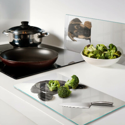 Tábua para cozinha Dois cães olhando ao redor