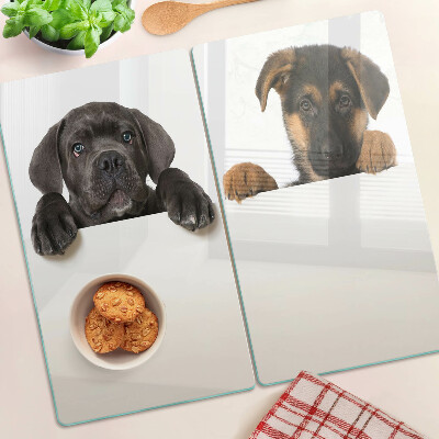 Tábua para cozinha Dois cães olhando ao redor