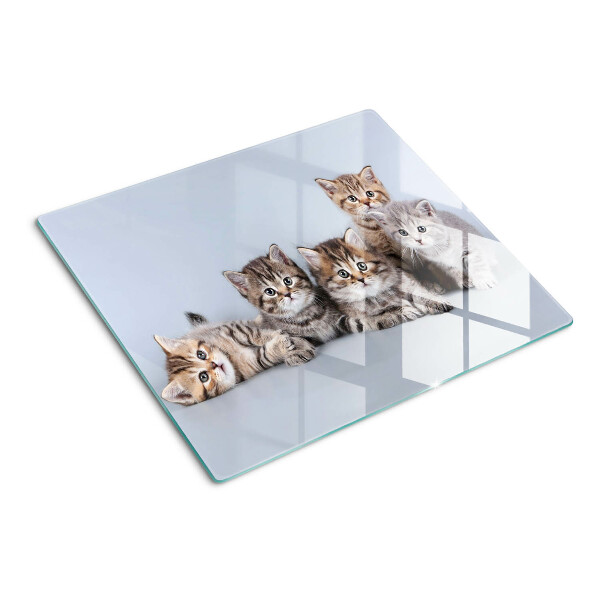 Tábua para cozinha Gatos em frente à janela