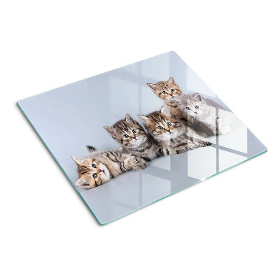 Tábua para cozinha Gatos em frente à janela