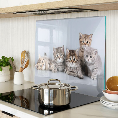 Tábua para cozinha Gatos em frente à janela