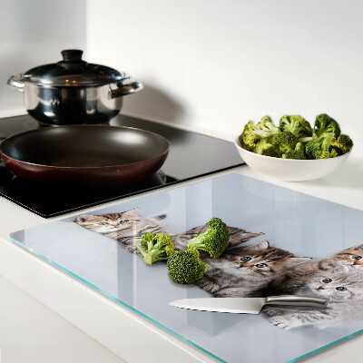 Tábua para cozinha Gatos em frente à janela