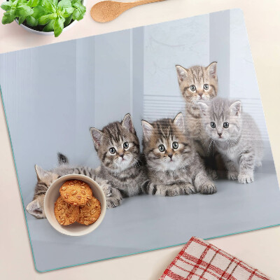 Tábua para cozinha Gatos em frente à janela