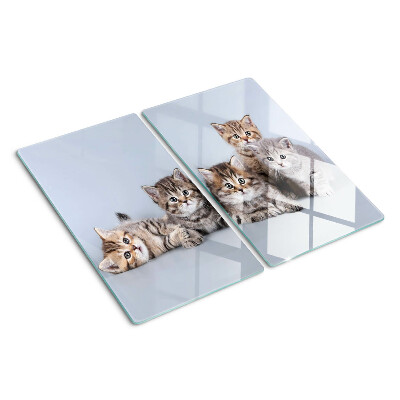 Tábua para cozinha Gatos em frente à janela