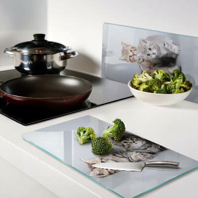 Tábua para cozinha Gatos em frente à janela