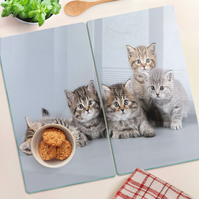 Tábua para cozinha Gatos em frente à janela