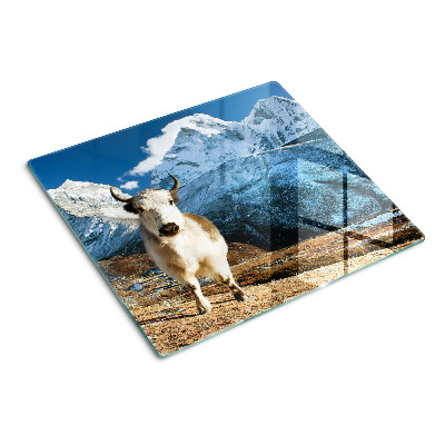 Tábua para corte Vaca nas montanhas