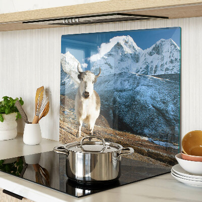 Tábua para corte Vaca nas montanhas