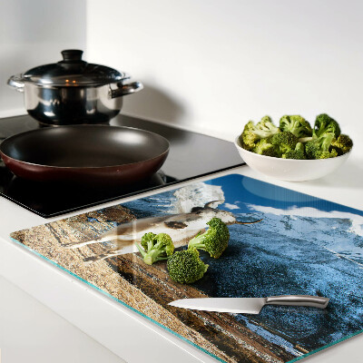 Tábua para corte Vaca nas montanhas