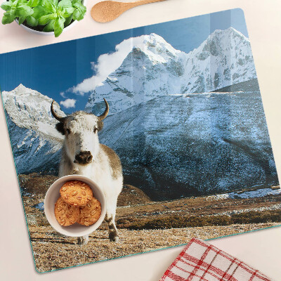Tábua para corte Vaca nas montanhas