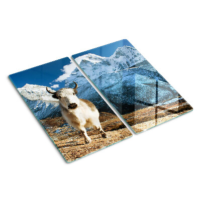 Tábua para corte Vaca nas montanhas