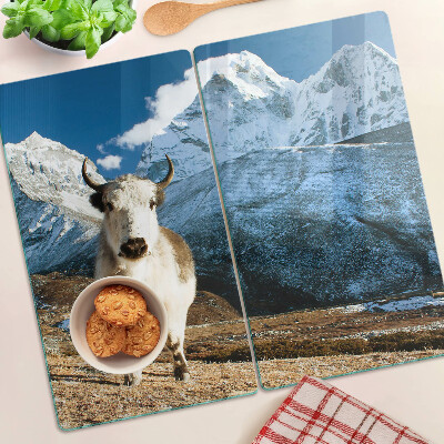 Tábua para corte Vaca nas montanhas