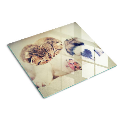 Tábua para cozinha Gatos e um cachorro dormindo juntos