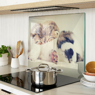 Tábua para cozinha Gatos e um cachorro dormindo juntos