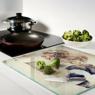 Tábua para cozinha Gatos e um cachorro dormindo juntos