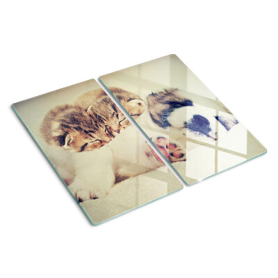 Tábua para cozinha Gatos e um cachorro dormindo juntos