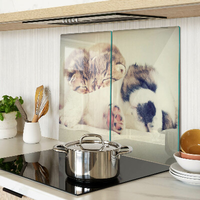 Tábua para cozinha Gatos e um cachorro dormindo juntos