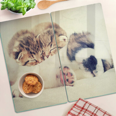 Tábua para cozinha Gatos e um cachorro dormindo juntos