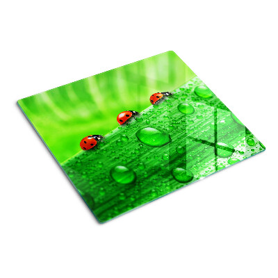 Tábua para cozinha Joaninhas em um fundo verde