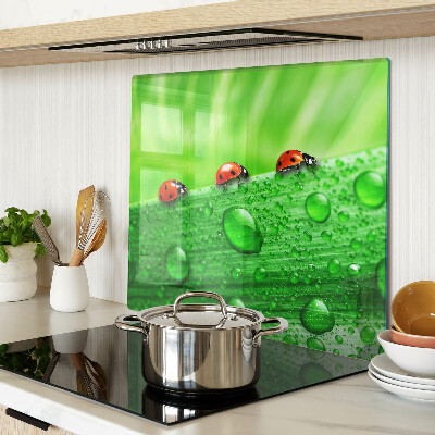 Tábua para cozinha Joaninhas em um fundo verde