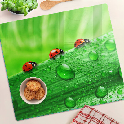 Tábua para cozinha Joaninhas em um fundo verde