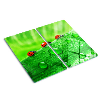 Tábua para cozinha Joaninhas em um fundo verde