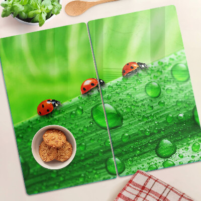 Tábua para cozinha Joaninhas em um fundo verde