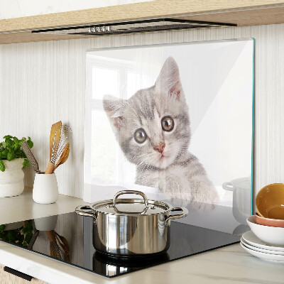 Tábua para corte Gatinho com olhos grandes