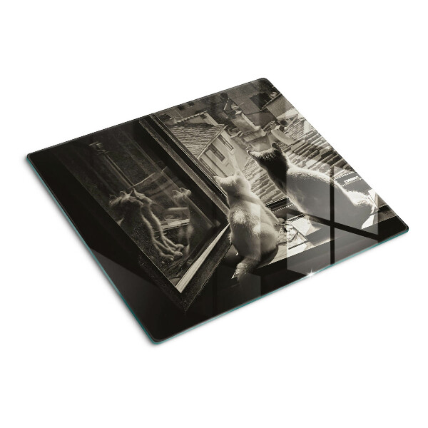 Tábua para cozinha Gatos na janela