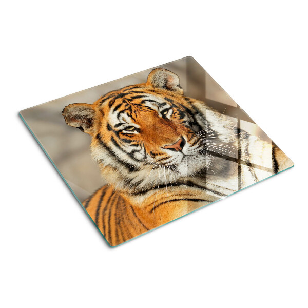 Tábua para corte Um tigre em seu estado natural